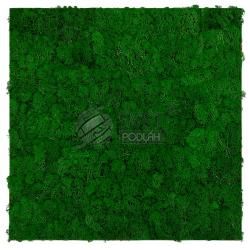 JANGAL MODULAR WALL - NATURE MOSS 11100 Nature Green