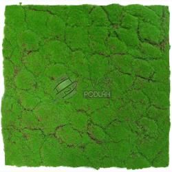 JANGAL MODULAR WALL - DESIGN MOSS 11108 Forest Green